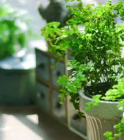 运城专属于你的开运指南，助你鸿运当头福满身！